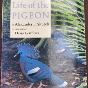 Life of the Pigeon Tapa dura, 1991
