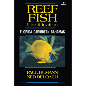 Reef Fish Identification - Florida Caribbean Bahamas - 4th Edition. Humann, 2024