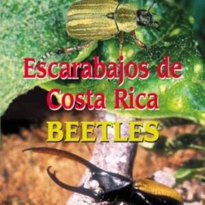 Escarabajos de Costa Rica Beetles. INBio