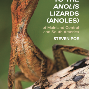 A Guide to the Anolis Lizards (Anoles) of Mainland Central and South America. Steven Pole, 2025