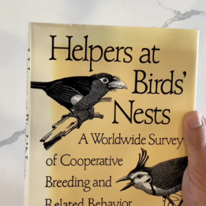 Helpers at Birds' Nests: A Worldwide Survey of Cooperative Breeding and Related Behavior. Alexander F. Skutch